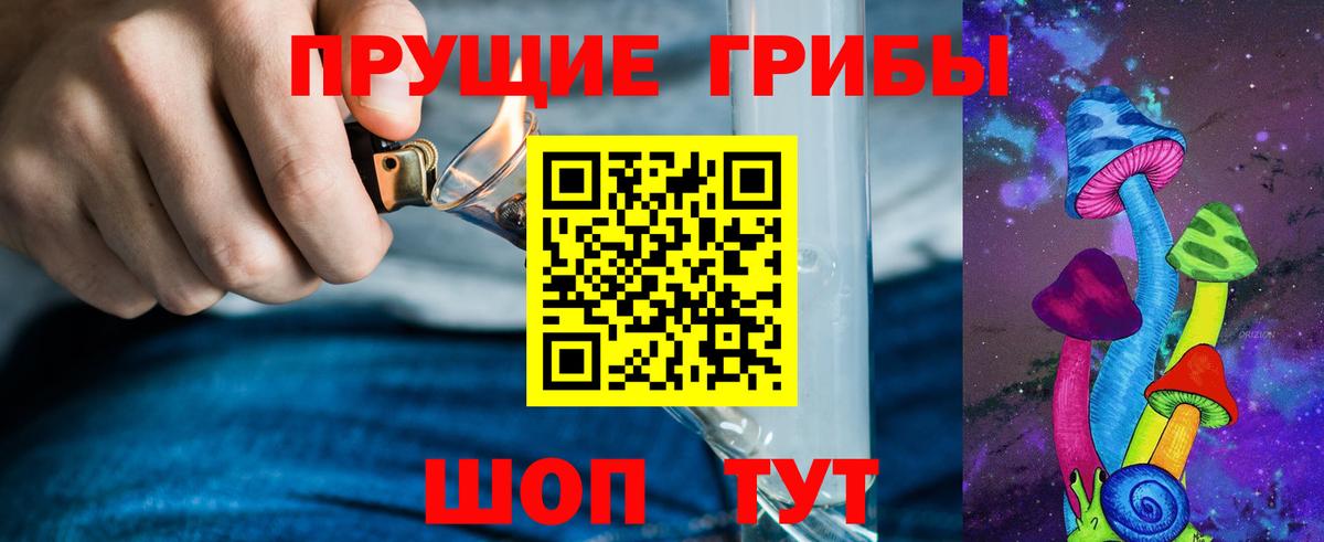 Шебекино  Псилоцибиновые грибы MAGIC MUSHROOMS  Вход с VPN 